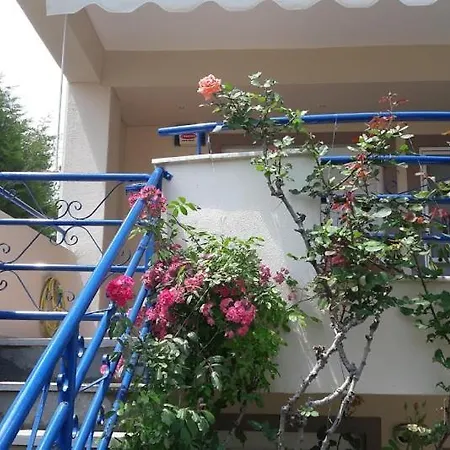 Ideal Family House *